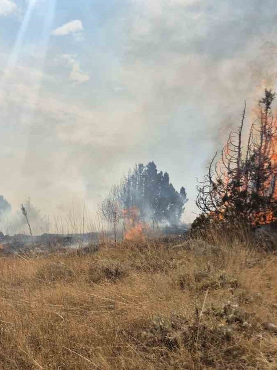 Isparta’da ormanlık alanda çıkan yangın 6 saatte söndürüldü