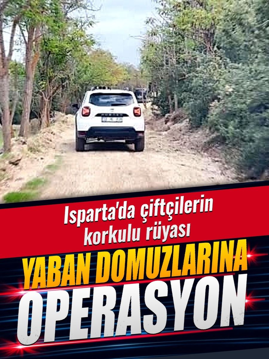 Isparta’da çiftçileri canından bezdiren yaban domuzlarına operasyon