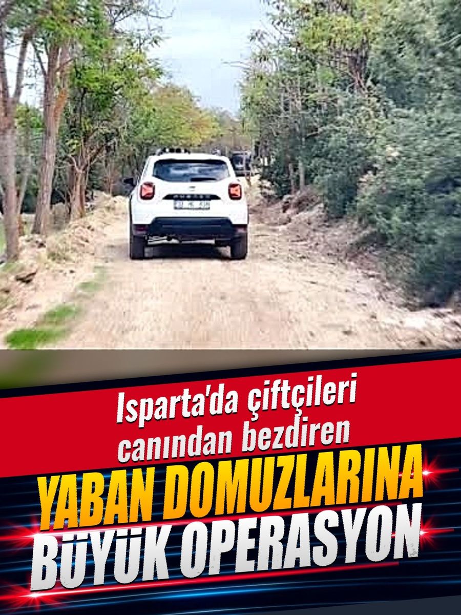 Isparta’da çiftçileri canından bezdiren yaban domuzlarına büyük operasyon